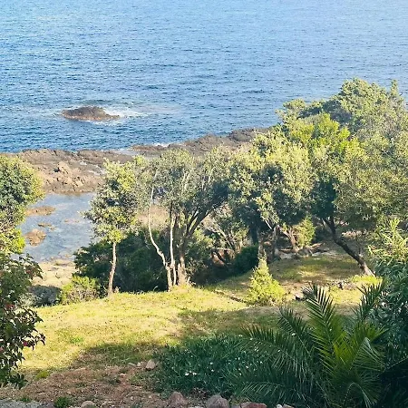 Cala D Oro Vue Piscine Et Crique Privée Villa Sari-Solenzara