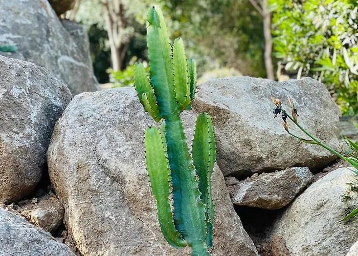 Villa Cala D Oro Vue Piscine Et Crique Privee
