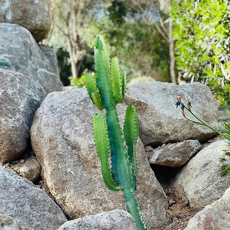 Villa Cala D Oro Vue Piscine Et Crique Privee