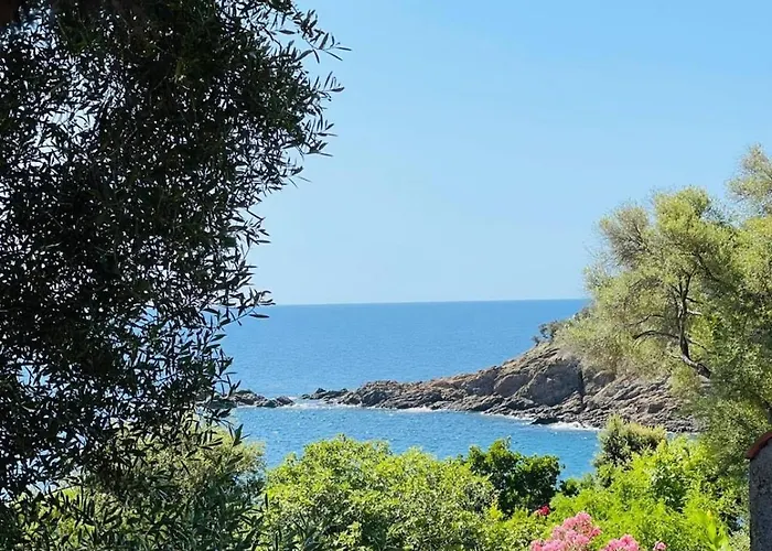Cala D Oro Vue Piscine Et Crique Privée